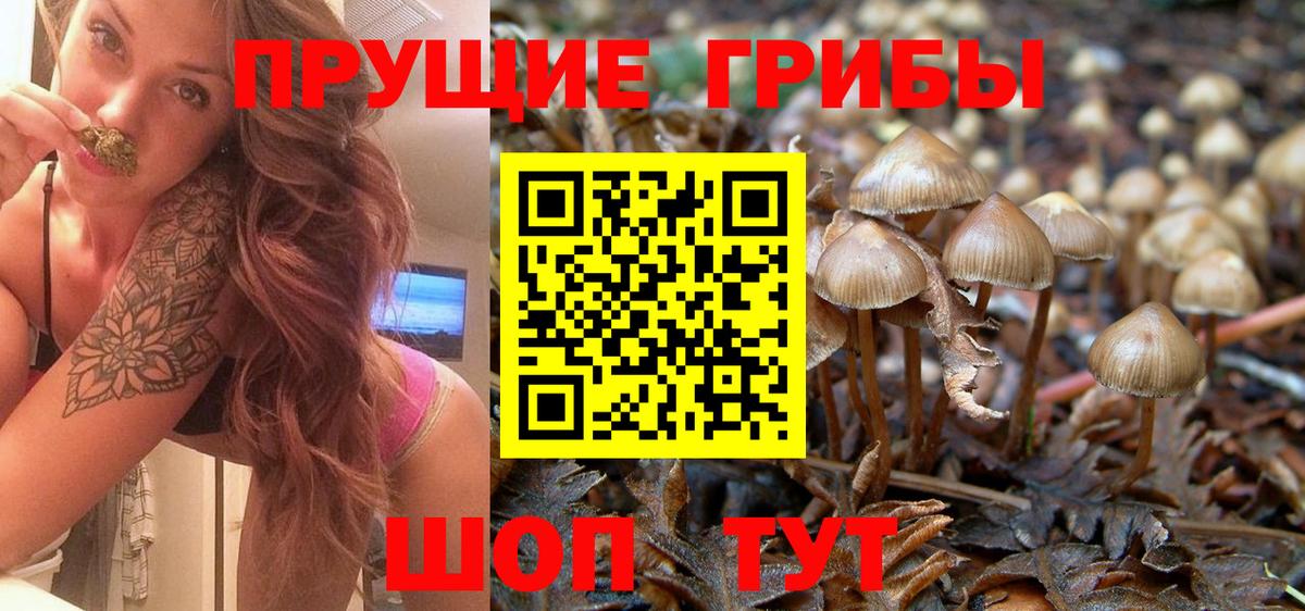 Псилоцибиновые грибы ЛСД  Вход с VPN  Красногорск 